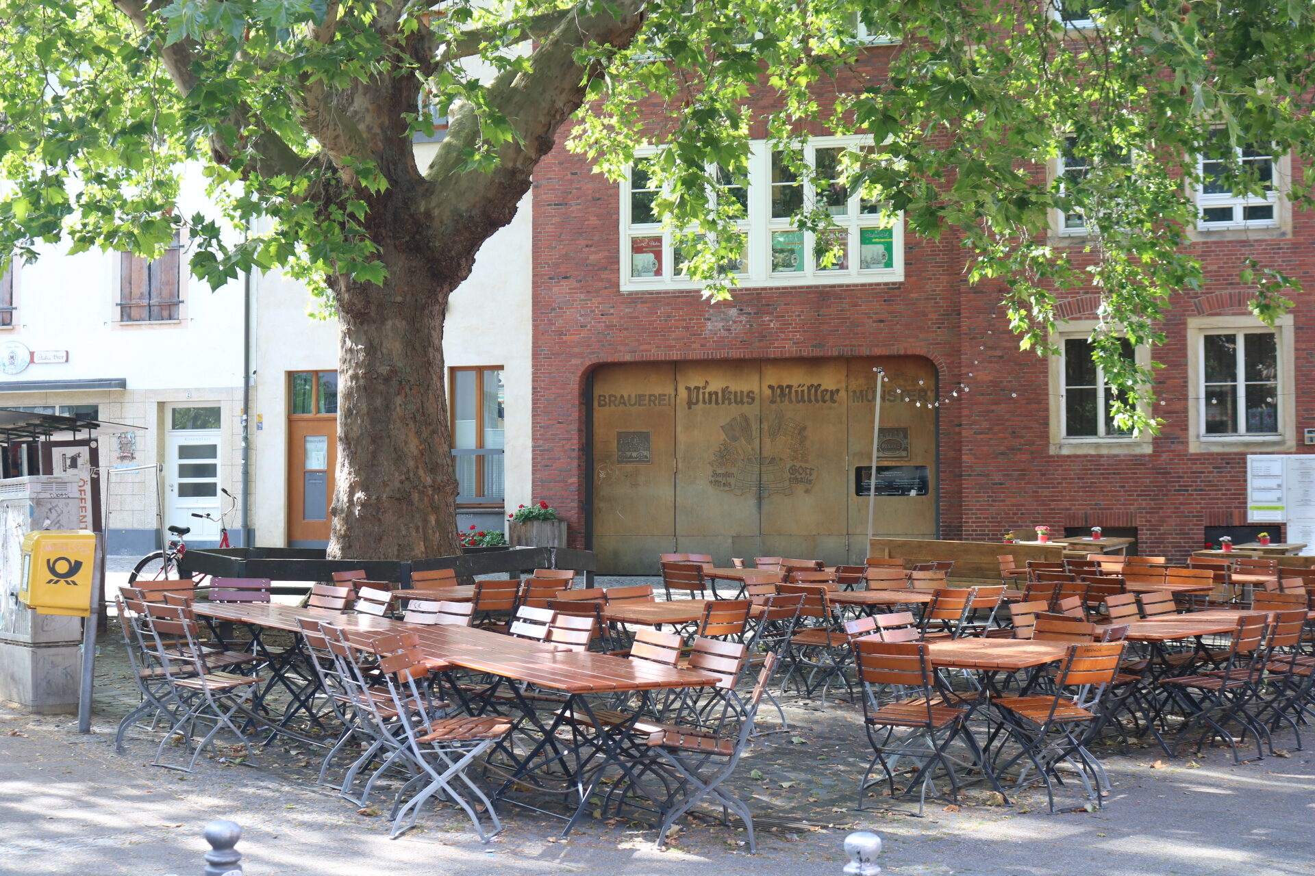 Terrasse unter Kastanienbaum am Rosenplatz